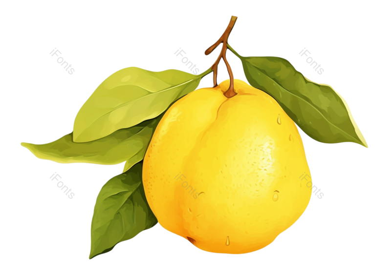 叶子图片,清新元素,水果PNG,食品免抠素材